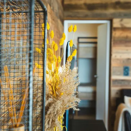 Apartamento Renovated Near Super-besse Slopes
